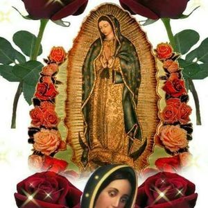 Meet your Posher, Rossy